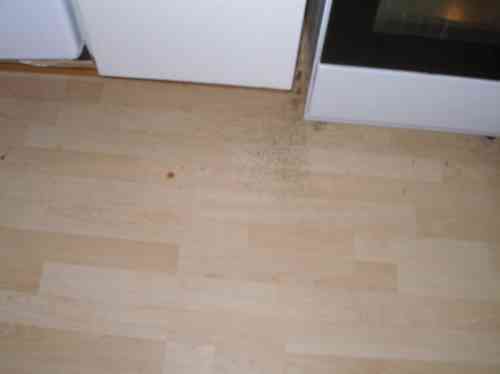P1010024izjdsoth.jpg