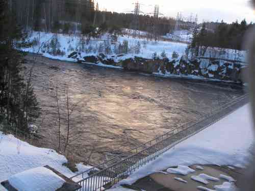 P1010094.JPG