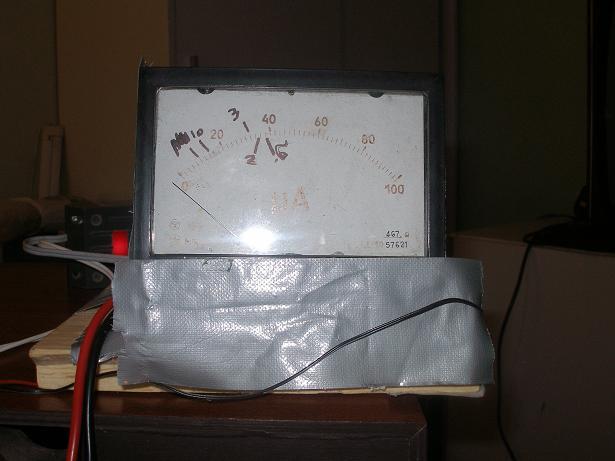 P1010001t.JPG