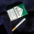 Marlboro Menthol